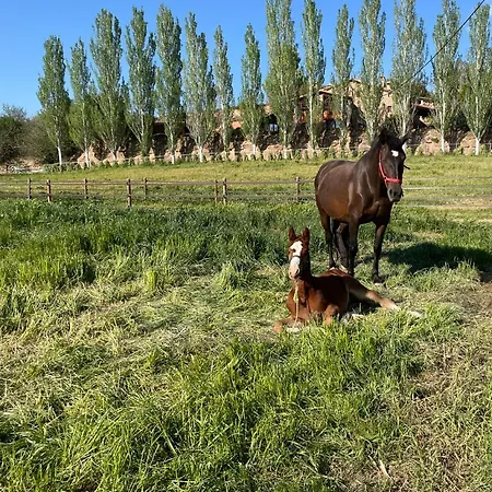 Apartment Touristic Ballonga Horses Solsona