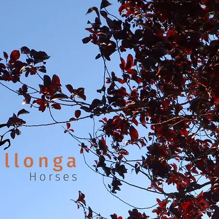 Touristic Ballonga Horses * Solsona