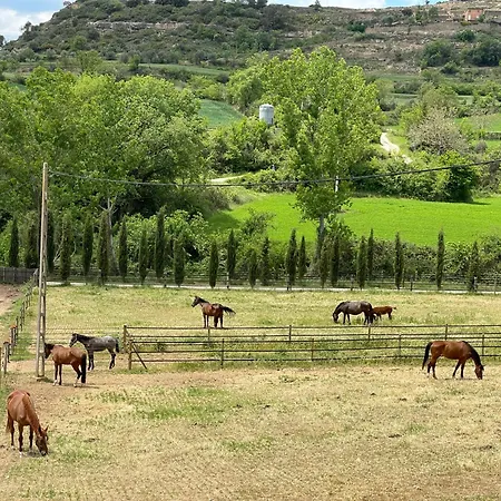 Touristic Ballonga Horses Solsona